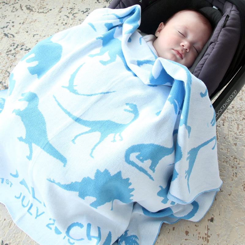Dino Dino blanket